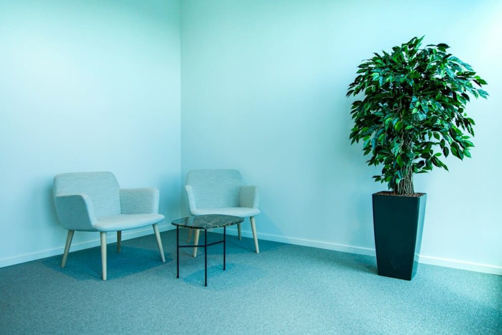 Calm clinic waiting room with plants, a relaxed setting for confidential HIV testing