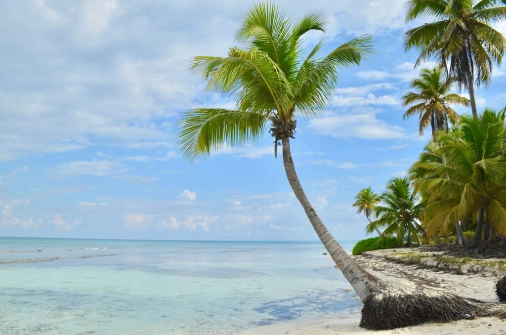 Palm-lined tropical beach; saving a clinic contact helps you start PEP within 72 hours next time