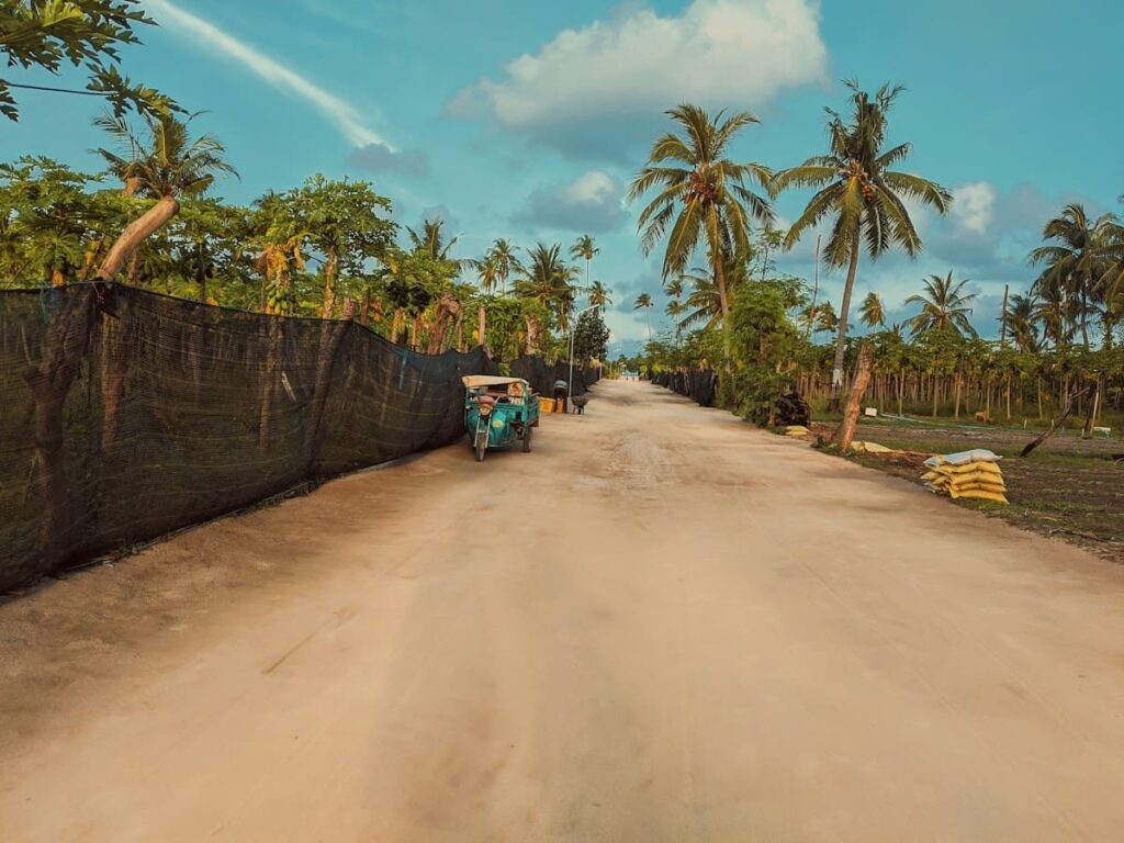 Tuk-tuk on a palm-lined island road, a reminder that transport adds to the cost of getting PEP
