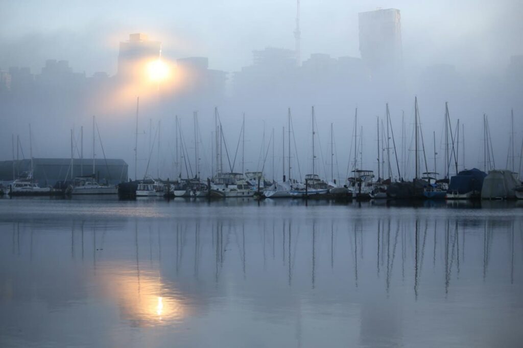 Boats moored at a pier in morning light, a reminder that travellers can still complete PEP and follow-up